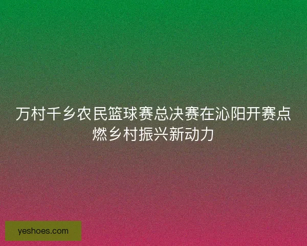 万村千乡农民篮球赛总决赛在沁阳开赛点燃乡村振兴新动力