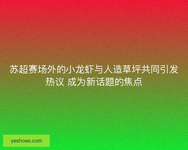 苏超赛场外的小龙虾与人造草坪共同引发热议 成为新话题的焦点