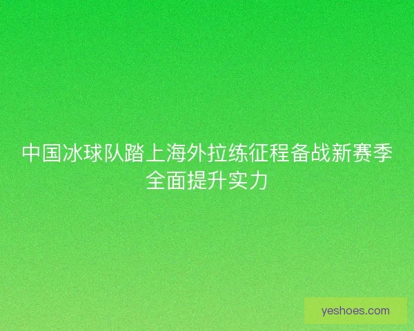 中国冰球队踏上海外拉练征程备战新赛季全面提升实力