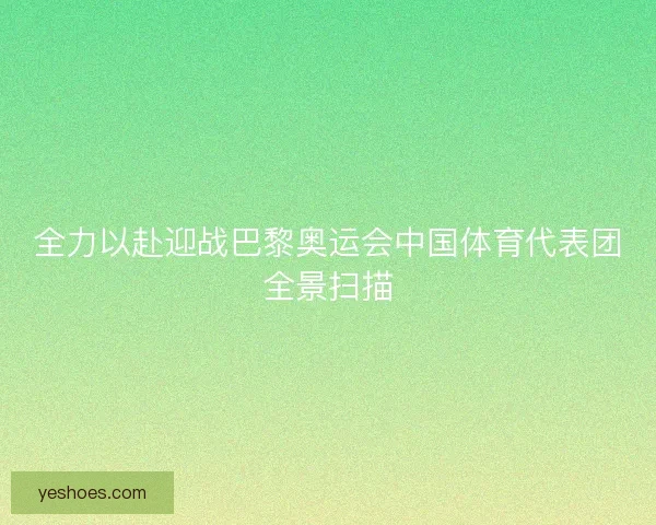全力以赴迎战巴黎奥运会中国体育代表团全景扫描
