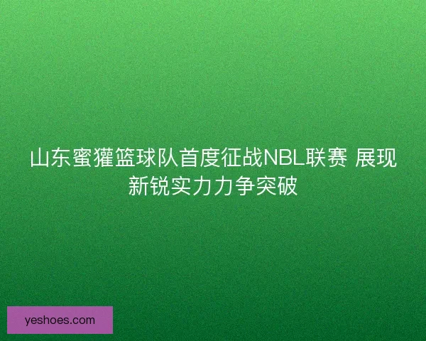山东蜜獾篮球队首度征战NBL联赛 展现新锐实力力争突破