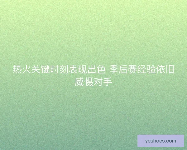 热火关键时刻表现出色 季后赛经验依旧威慑对手